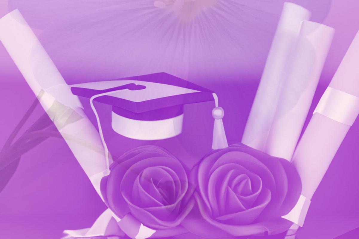 Two diplomas and roses with a grad cap in the back with a purple film overlay